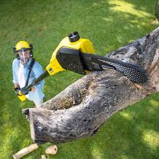 Best Lawn Watering Services  in Gautier, MS